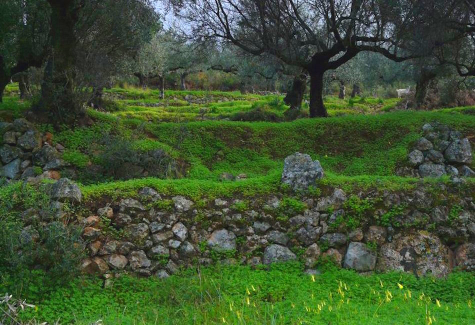 Γνωρίστε μας